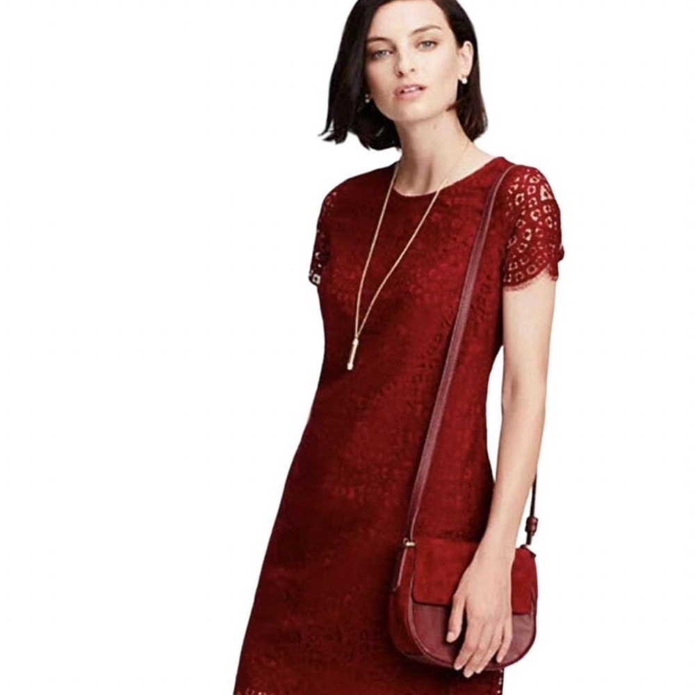 Ann Taylor Lace Shift Dress